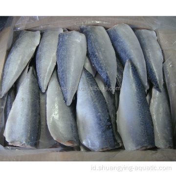 Ekspor Ikan Mackerel Fillet Beku China